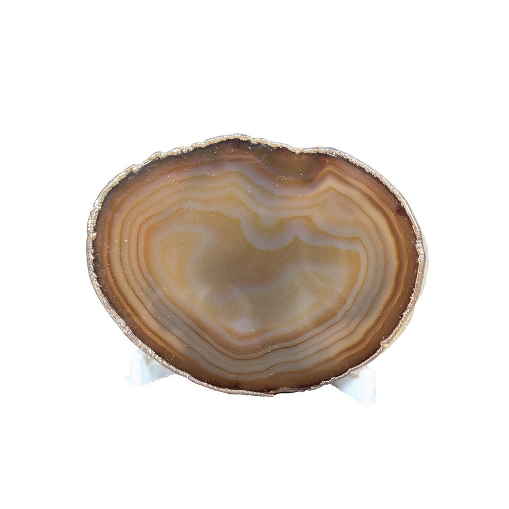 Vintage Wheeler Manufacturing Belt Buckle Petrified Wood 1970s Western Boho S...